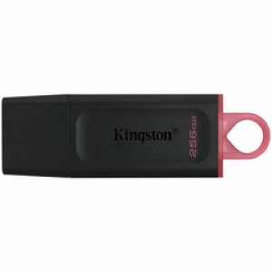 USB Stik  256GB DTX  USB 3.2 Gen1 Kingston