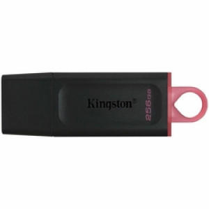 USB Stik   256GB DTX  USB 3.2 Gen1 Kingston