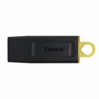 USB STIK DTX  128GB  USB 3.2 Gen1, Kingston