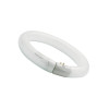 Fluo cijev T9 G10Q, Circline  , 22W, 830   - okrugli , Rasprodano!!