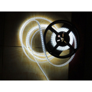 LED traka 1m, 3528, 120LED/m, 9.6W/m, 12V DC, 6000K, IP67