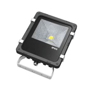 Reflektor PRO 10W, 750lm, 6000K, IP65 LED