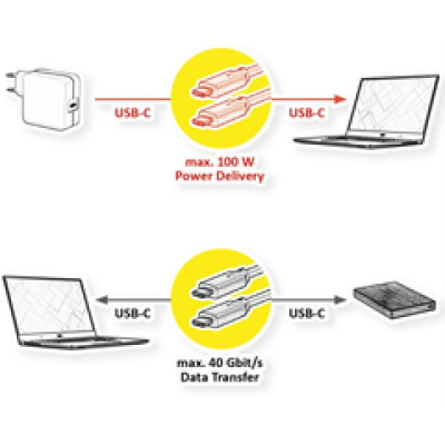 Kabel C - C, USB4 Gen2x2,    M/M, Emark, 100W, 1.0m, Roline