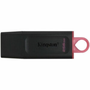 USB Stik 256GB DTX USB 3.2 Gen1 Kingston