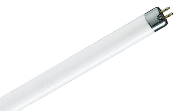 T5 Fluo cijev 8W, 840, 28cm , TL Mini
