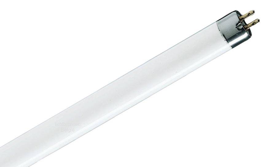 T5 Fluo cijev 8W, 840, 28cm , TL Mini