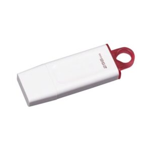 USB Stik 256GB DTX USB 3.2 Gen1 Kingston ,bijeli
